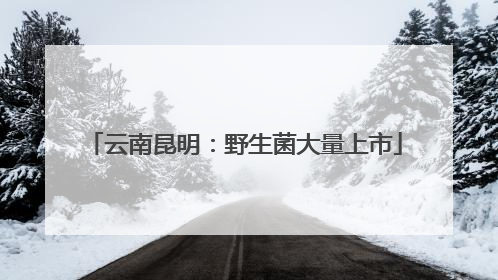 云南昆明：野生菌大量上市