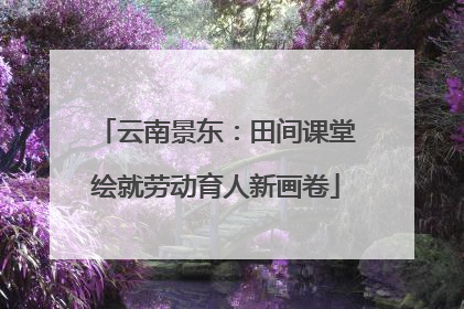 云南景东：田间课堂绘就劳动育人新画卷