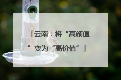 云南：将“高颜值”变为“高价值”