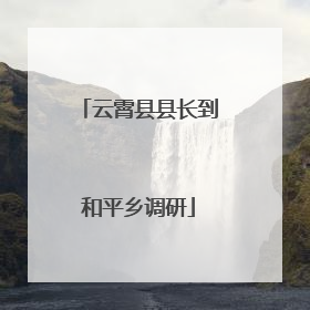 云霄县县长到和平乡调研