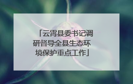 云霄县委书记调研督导全县生态环境保护重点工作