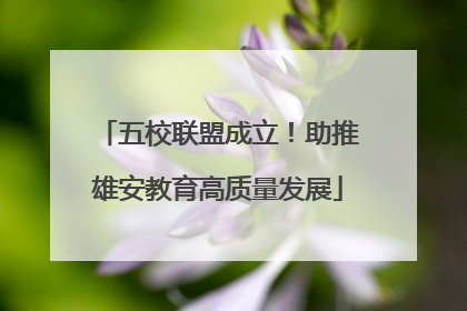五校联盟成立！助推雄安教育高质量发展