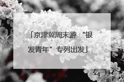 京津冀周末游 “银发青年”专列出发