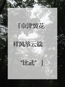 京津冀花样风筝云端“比武”