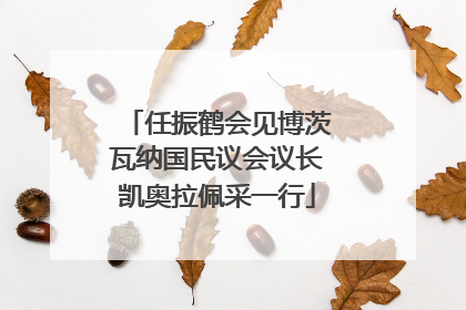 任振鹤会见博茨瓦纳国民议会议长凯奥拉佩采一行
