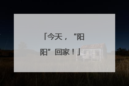 今天，“阳阳”回家！