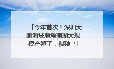 今年首次！深圳大鹏海域鹿角珊瑚大规模产卵了，视频→
