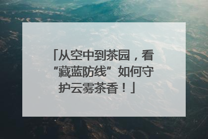 从空中到茶园，看“藏蓝防线”如何守护云雾茶香！
