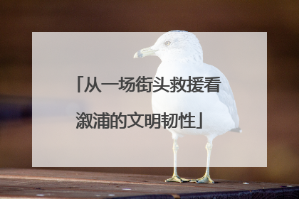 从一场街头救援看溆浦的文明韧性