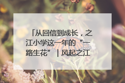 从回信到成长，之江小学这一年的“一路生花”｜风起之江 扶摇直上