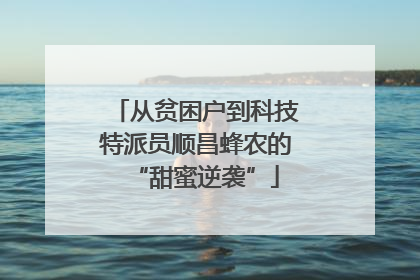 从贫困户到科技特派员顺昌蜂农的“甜蜜逆袭”