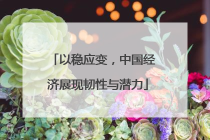 以稳应变，中国经济展现韧性与潜力