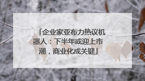 企业家亚布力热议机器人：下半年或迎上市潮，商业化成关键