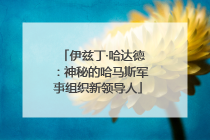 伊兹丁·哈达德：神秘的哈马斯军事组织新领导人