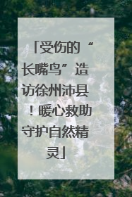 受伤的“长嘴鸟”造访徐州沛县！暖心救助守护自然精灵
