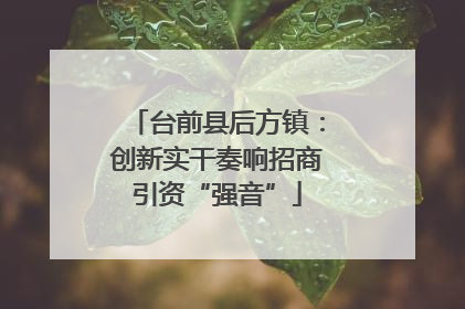 台前县后方镇：创新实干奏响招商引资“强音”