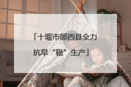 十堰市郧西县全力抗旱“稳”生产