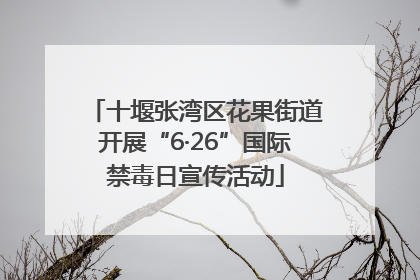 十堰张湾区花果街道开展“6·26”国际禁毒日宣传活动