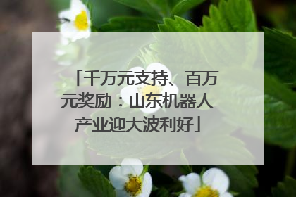 千万元支持、百万元奖励：山东机器人产业迎大波利好