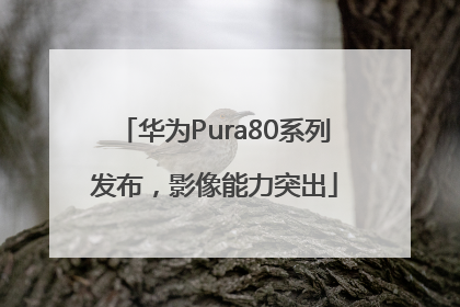 华为Pura80系列发布，影像能力突出