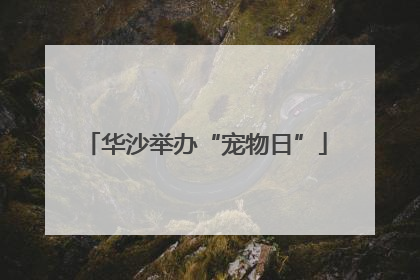 华沙举办“宠物日”