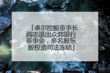 卓尔控股董事长阎志退出众邦银行董事会，多名股东股权遭司法冻结