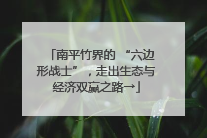 南平竹界的 “六边形战士”，走出生态与经济双赢之路→