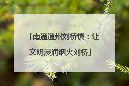 南通通州刘桥镇：让文明浸润烟火刘桥