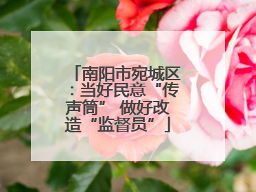南阳市宛城区：当好民意“传声筒” 做好改造“监督员”
