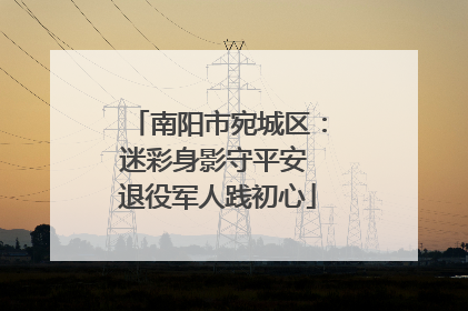 南阳市宛城区：迷彩身影守平安 退役军人践初心