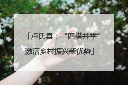 卢氏县：“四措并举”激活乡村振兴新优势