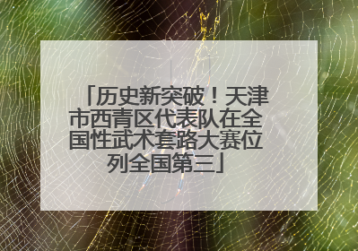 历史新突破！天津市西青区代表队在全国性武术套路大赛位列全国第三