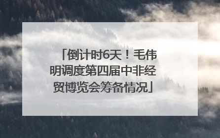 倒计时6天！毛伟明调度第四届中非经贸博览会筹备情况