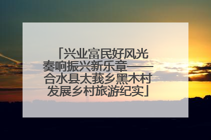 兴业富民好风光 奏响振兴新乐章——合水县太莪乡黑木村发展乡村旅游纪实