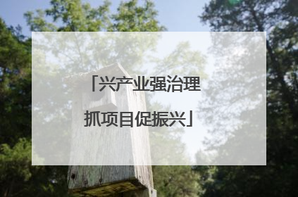 兴产业强治理 抓项目促振兴