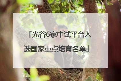 光谷6家中试平台入选国家重点培育名单