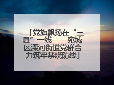 党旗飘扬在“三夏”一线——宛城区溧河街道党群合力筑牢禁烧防线