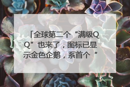 全球第二个“满级QQ”也来了，图标已显示金色企鹅，系首个“满级QQ”的小号
