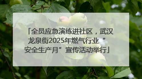 全员应急演练进社区，武汉龙泉街2025年燃气行业“安全生产月”宣传活动举行