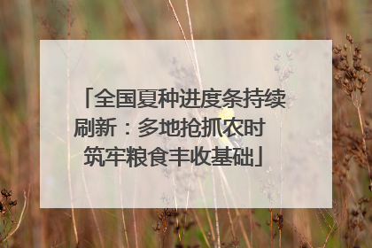 全国夏种进度条持续刷新：多地抢抓农时 筑牢粮食丰收基础
