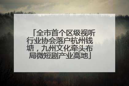 全市首个区级视听行业协会落户杭州钱塘，九州文化牵头布局微短剧产业高地