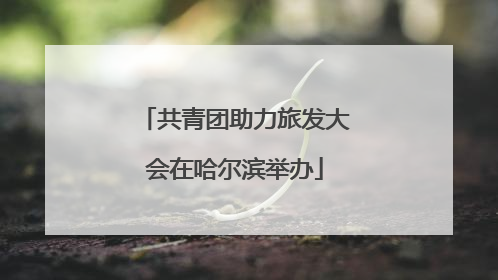 共青团助力旅发大会在哈尔滨举办