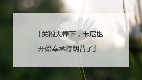 关税大棒下，卡尼也开始奉承特朗普了