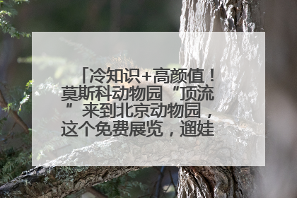 冷知识+高颜值！莫斯科动物园“顶流”来到北京动物园，这个免费展览，遛娃拍照两不误！