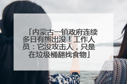 内蒙古一镇政府连续多日有熊出没！工作人员：它没攻击人，只是在垃圾桶翻找食物