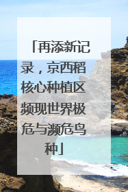 再添新记录，京西稻核心种植区频现世界极危与濒危鸟种