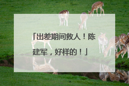 出差期间救人！陈建军，好样的！