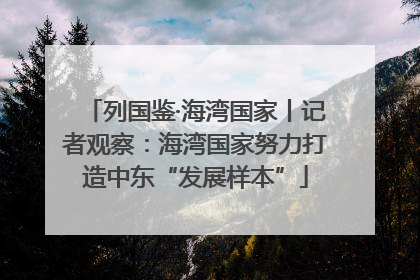 列国鉴·海湾国家丨记者观察：海湾国家努力打造中东“发展样本”