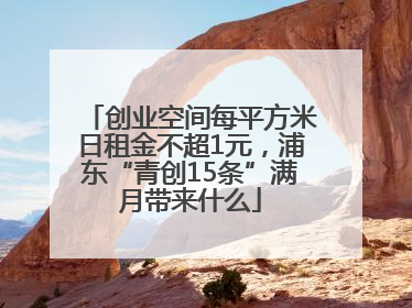 创业空间每平方米日租金不超1元，浦东“青创15条”满月带来什么