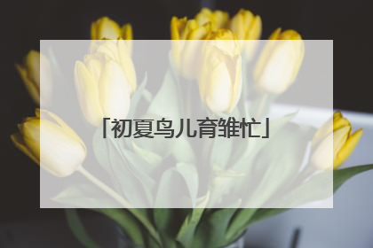 初夏鸟儿育雏忙